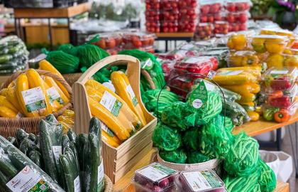 Hasfarm Greens+ triển khai đợt bán dùng thử