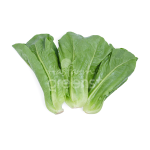 Xà lách Romaine