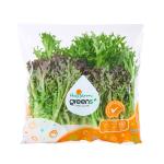 Hỗn hợp xà lách baby xanh và tím