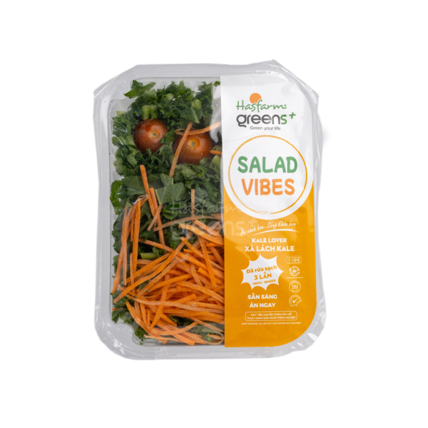 Salad Xà lách cải Kale