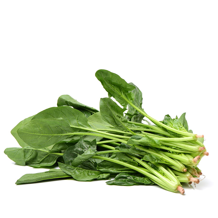 Lưu trữ Rau ăn lá - Hasfarm Greens+