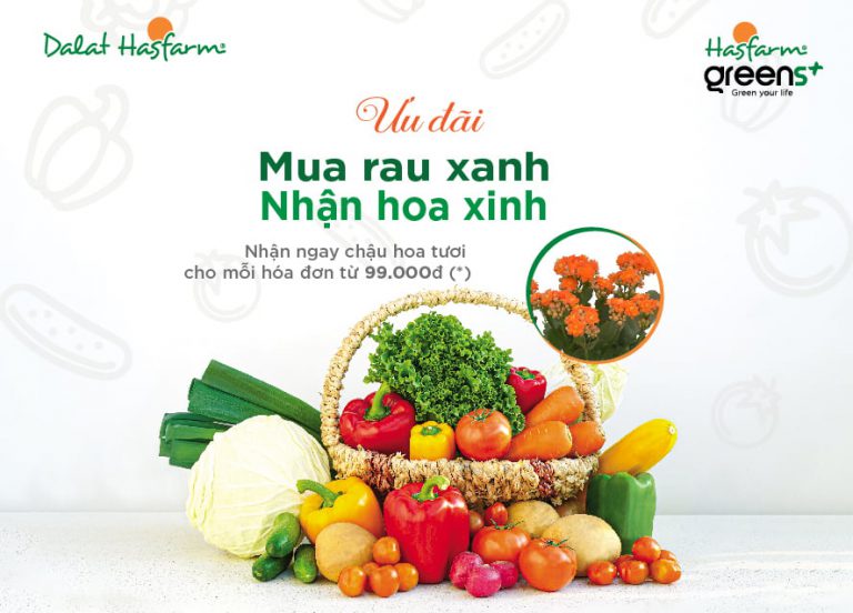 Ưu đãi “Mua rau xanh, nhận hoa xinh” tại GO! và Tops Market Hà Nội
