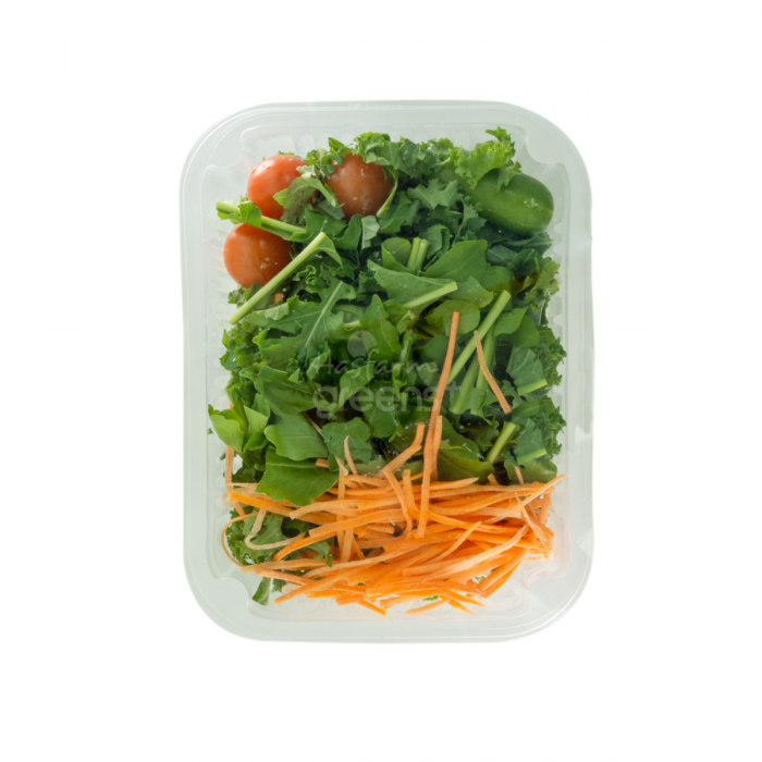 Salad Xà lách Cải Kale
