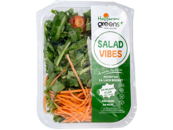 Salad Xà lách Rocket