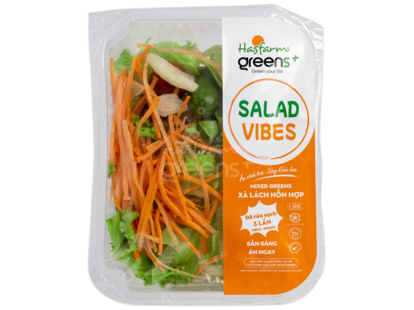 Salad Xà lách hỗn hợp