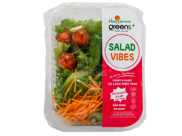 Salad Xà lách thủy tinh