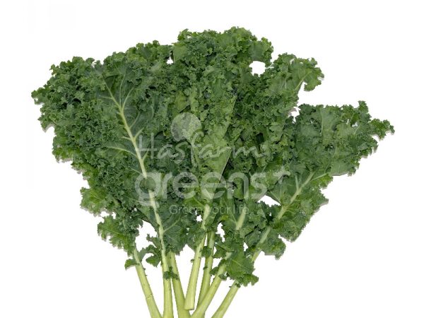 Cải xoăn Kale