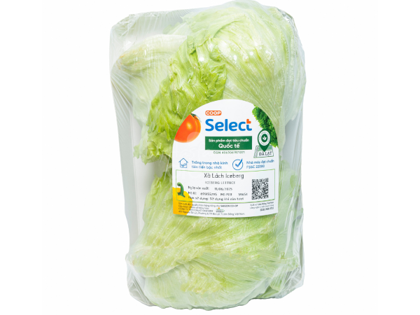 Xa lach Iceberg - Coop Select