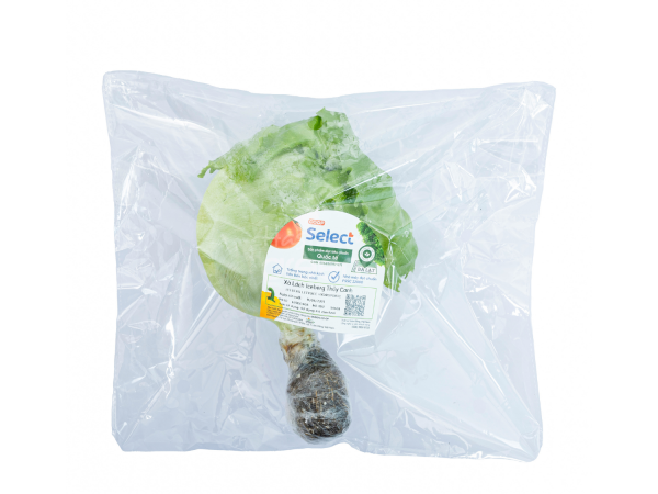 Xa lach Iceberg thuy canh - Coop Select