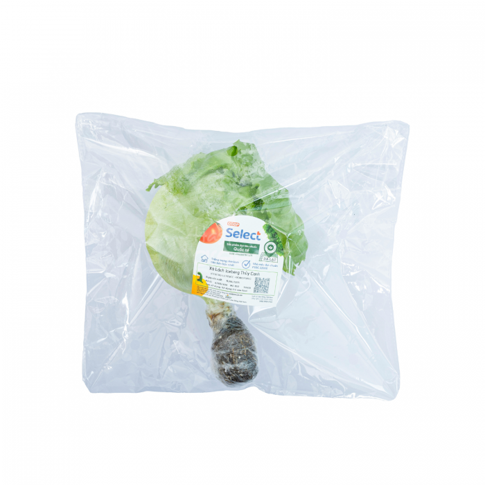 Xa lach Iceberg thuy canh - Coop Select