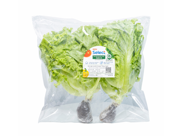 Xa lach lo lo xanh thuy canh - Coop Select