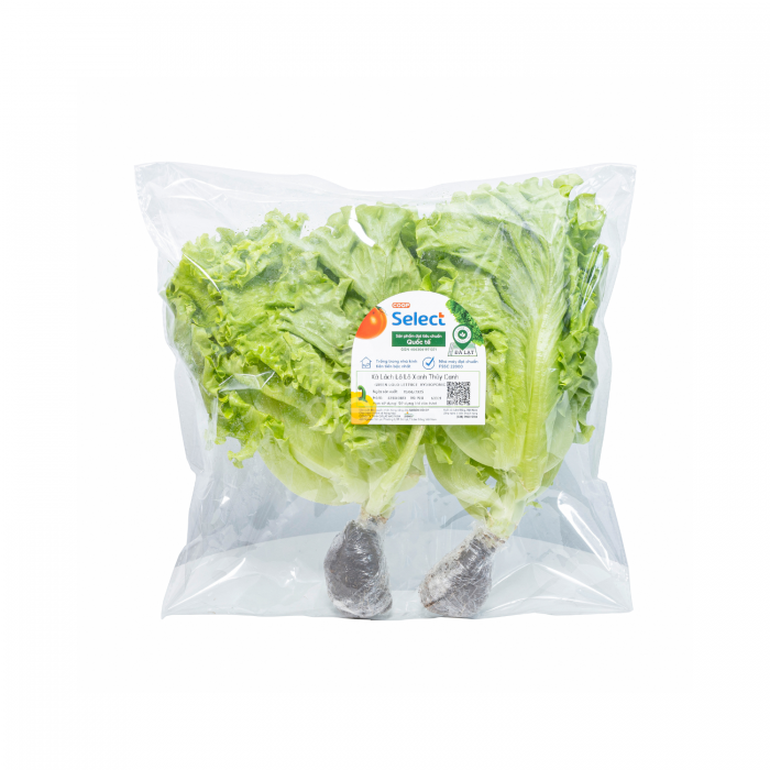 Xa lach lo lo xanh thuy canh - Coop Select