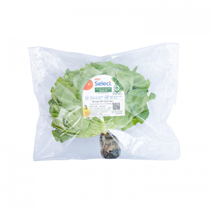 Xa lach mo thuy canh - Coop Select